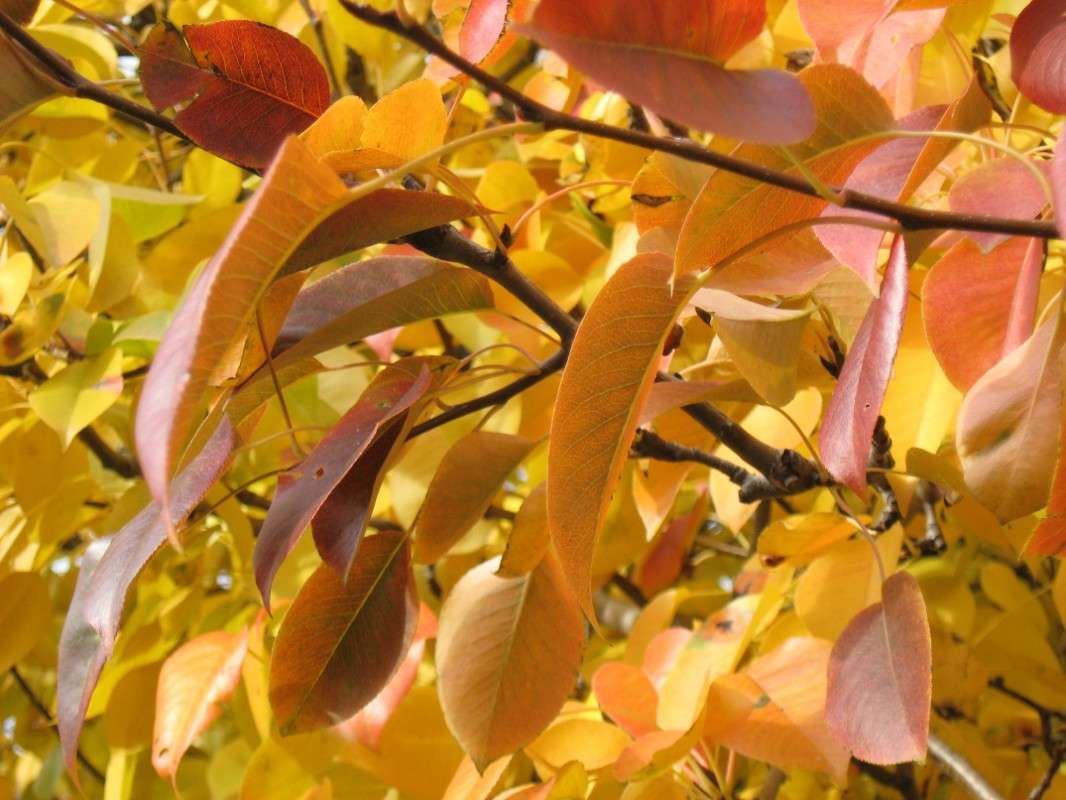 ... ����� Natali  ��������� �� PhotoGeek.ru #������ ��� ������� #����� ��������������