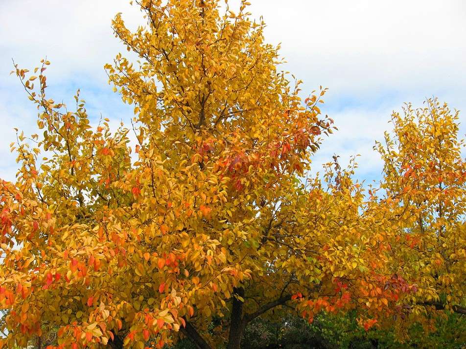 ������ � ������ ����� Natali  ��������� �� PhotoGeek.ru #������ ��� ������� #����� ��������������