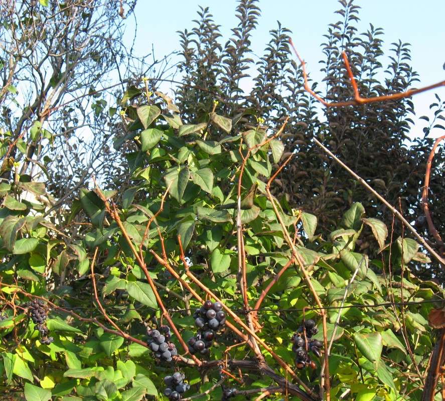 � ������� ....�...���... ����� Natali  ��������� �� PhotoGeek.ru #������ ��� ������� #����� ��������������