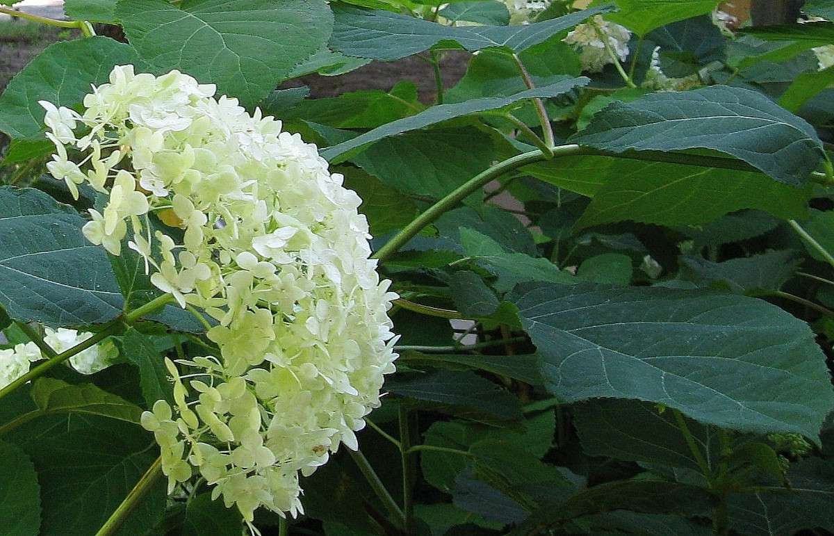 ������ � ����� ����� Natali  ��������� �� PhotoGeek.ru #������ ��� ������� #����� ��������������