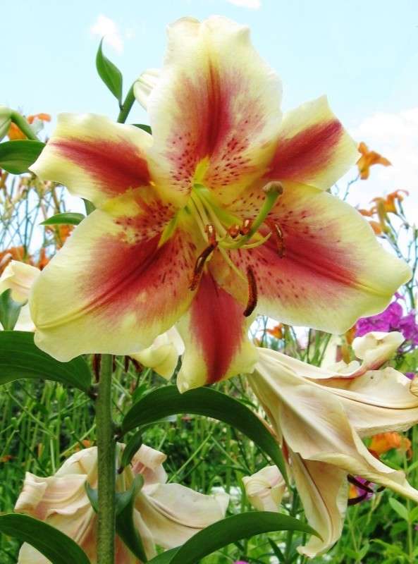 ... ����� Natali  ��������� �� PhotoGeek.ru #������ ��� ������� #����� ��������������