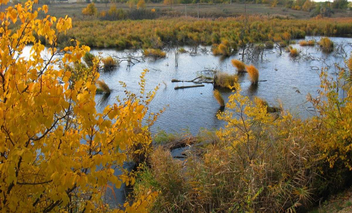 ... ����� Natali  ��������� �� PhotoGeek.ru #������ ��� �������