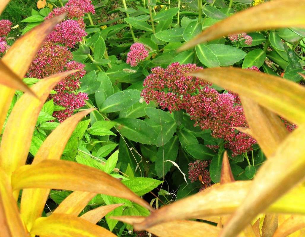 ... ����� Natali  ��������� �� PhotoGeek.ru #������ ��� ������� #����� ��������������