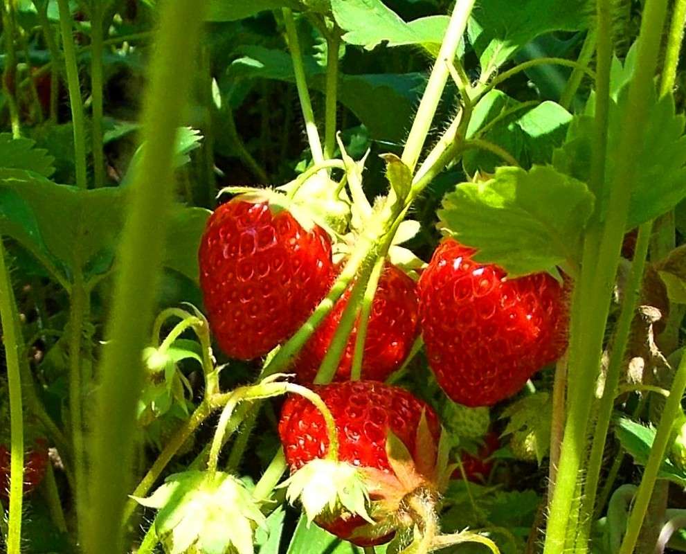 ��, ����.... ����� Natali  ��������� �� PhotoGeek.ru #������ ��� ������� #����� ��������������