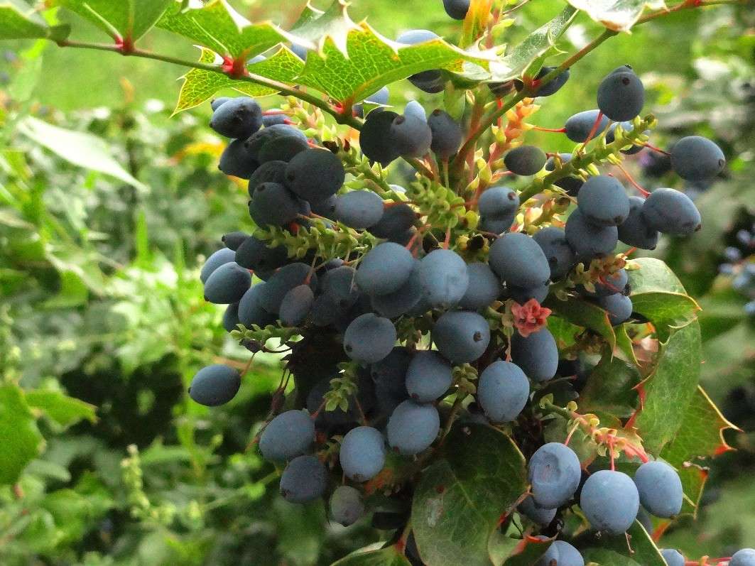 �������� ������� ����� Natali  ��������� �� PhotoGeek.ru #������ ��� ������� #����� ��������������