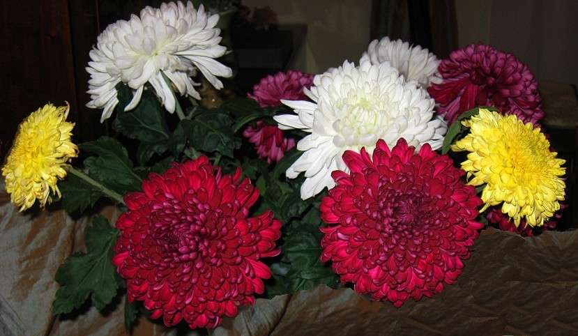 ... ����� Natali  ��������� �� PhotoGeek.ru #������ ��� ������� #����� ��������������