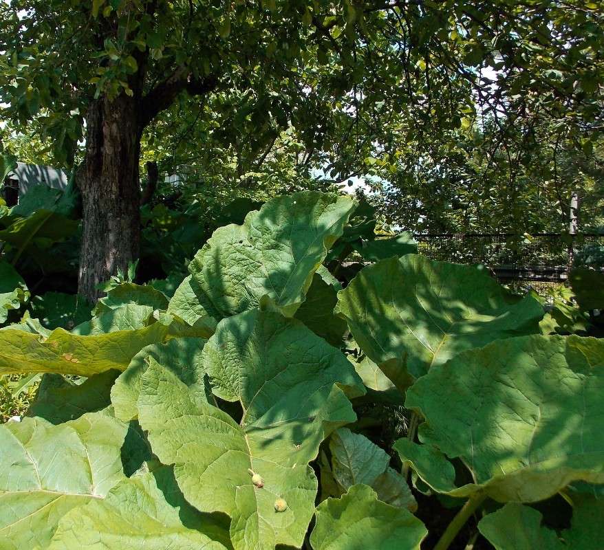 ���������� ������ !!! ))) ����� Natali  ��������� �� PhotoGeek.ru #������ ��� ������� #����� ��������������