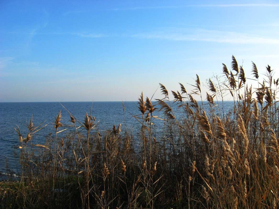 ��� ���� ��������� ���������, ��� ������ ��������� ����... ����� Natali  ��������� �� PhotoGeek.ru #������ ��� ������� #����� ��������������