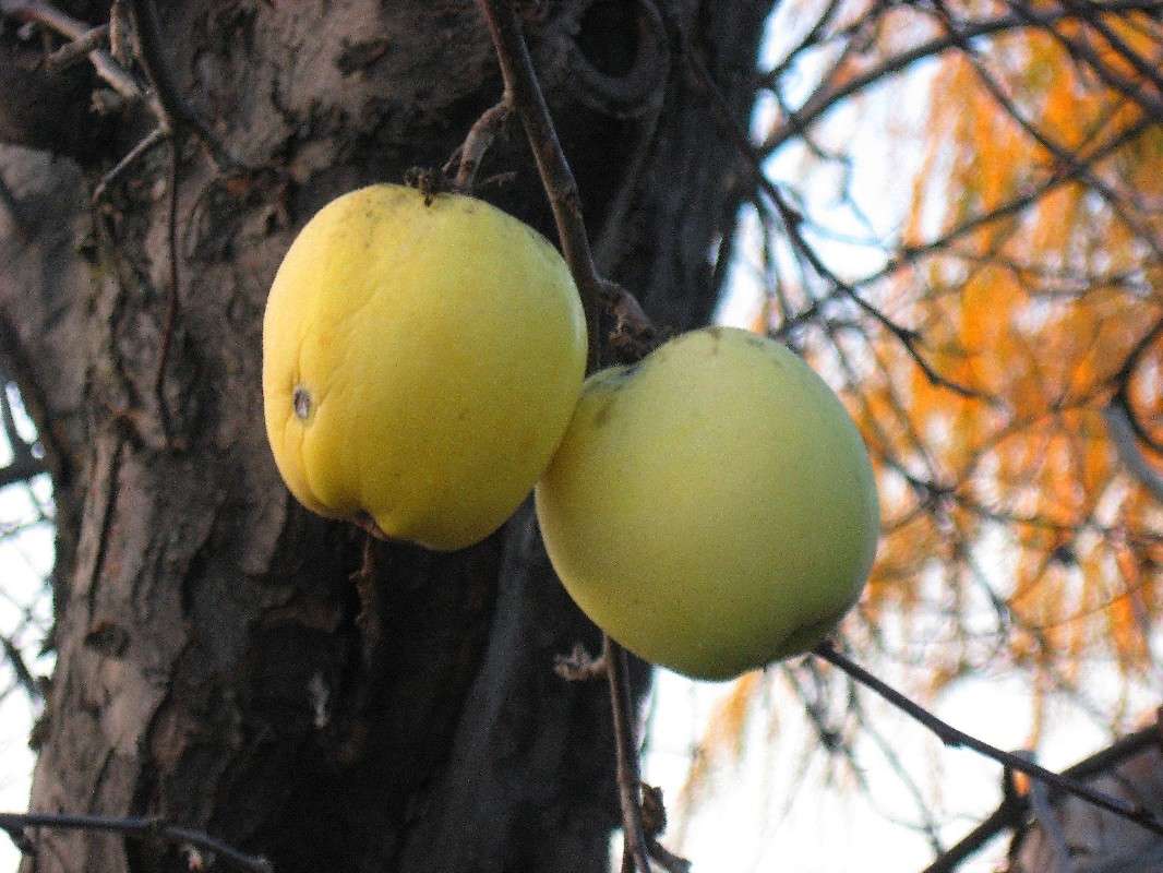 ������� ����� Natali  ��������� �� PhotoGeek.ru #������ ��� ������� #����� ��������������