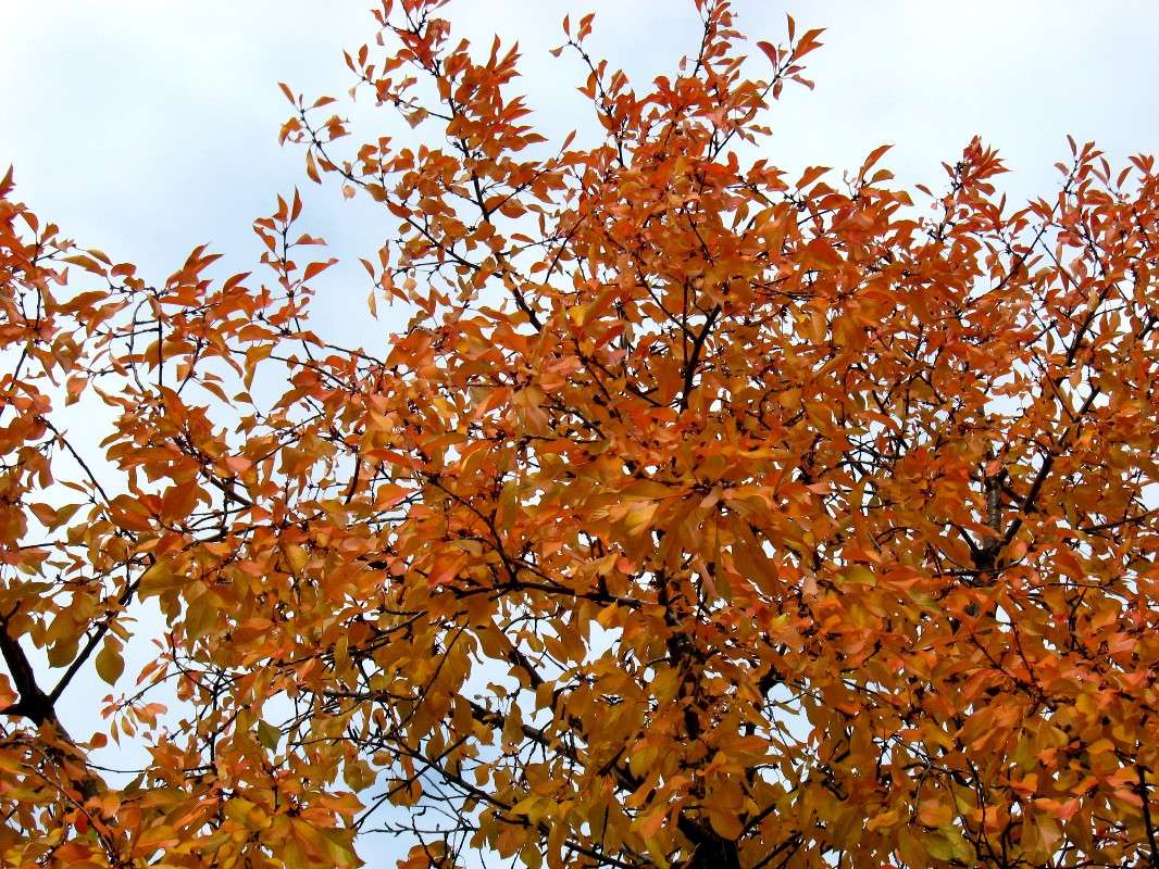 ... ����� Natali  ��������� �� PhotoGeek.ru #������ ��� ������� #����� ��������������