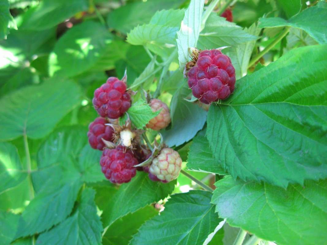 ... ����� Natali  ��������� �� PhotoGeek.ru #������ ��� ������� #����� ��������������