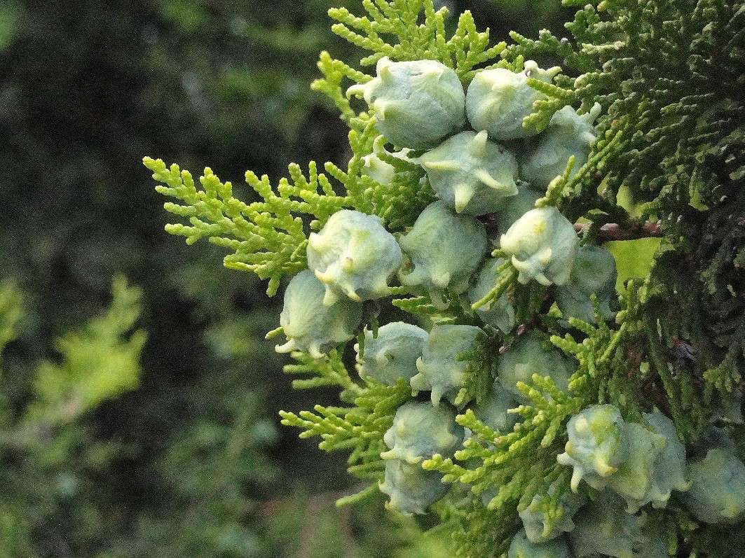 ... ����� Natali  ��������� �� PhotoGeek.ru #������ ��� ������� #����� ��������������