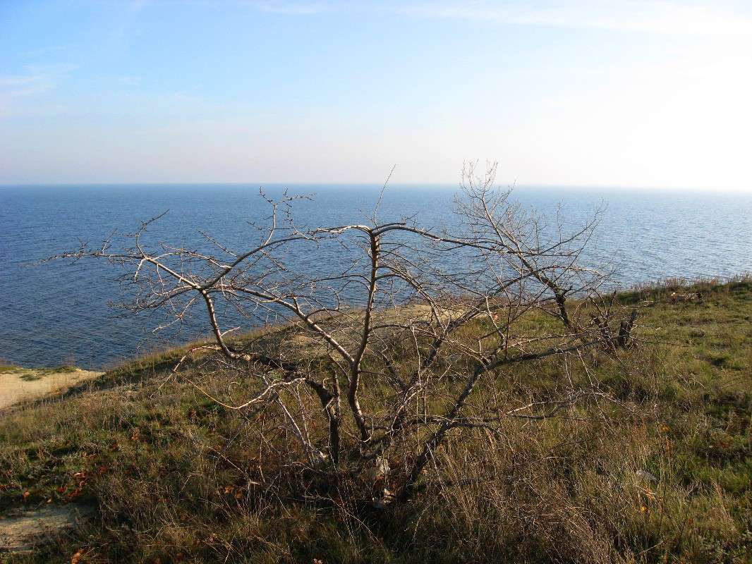 ����. ���� �� ����. ����� Natali  ��������� �� PhotoGeek.ru #������ ��� ������� #����� ��������������