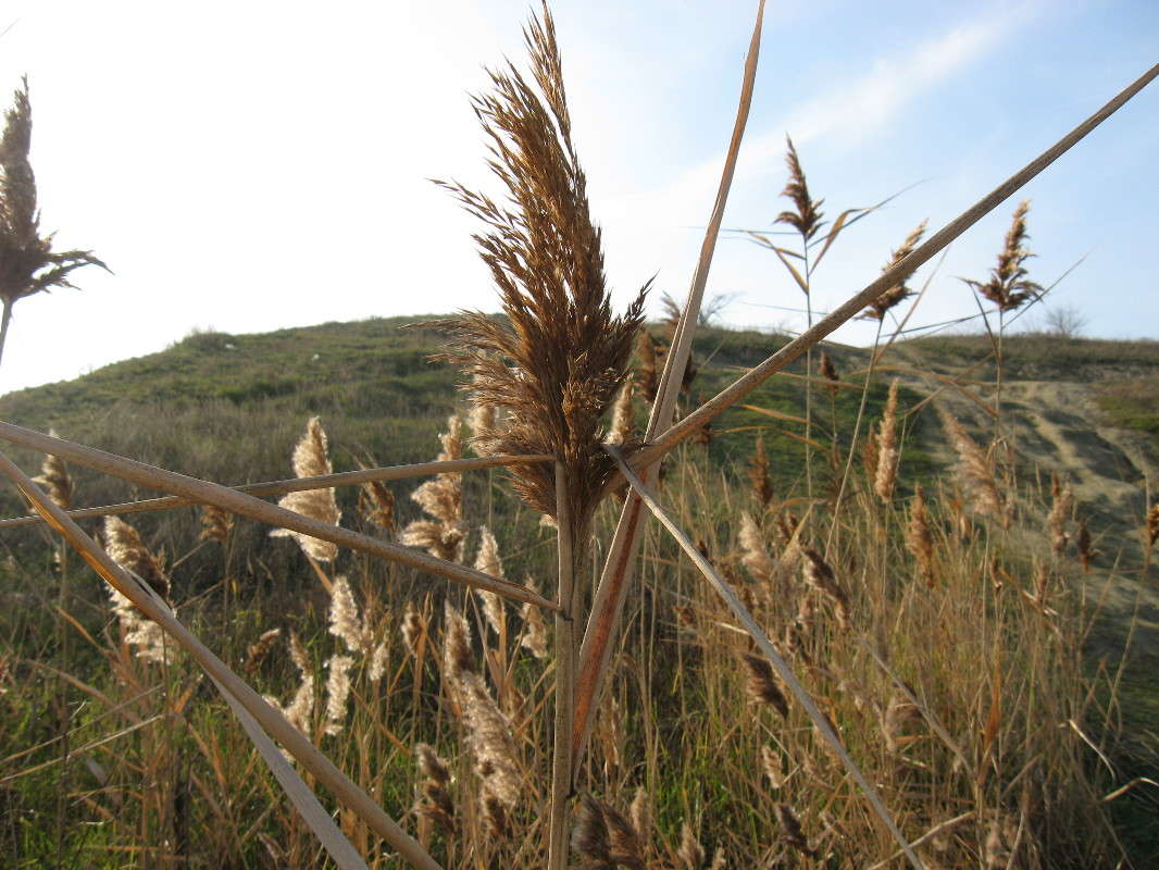 ... ����� Natali  ��������� �� PhotoGeek.ru #������ ��� ������� #��������� #����� ��������