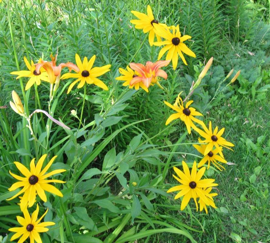 ������... ����� Natali  ��������� �� PhotoGeek.ru #������ ��� ������� #����� �������������� #���������