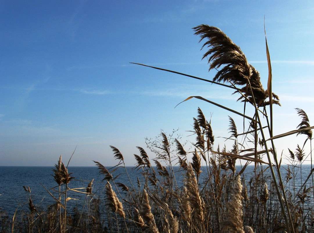 ����. �� �� ���� �� �����... ����� Natali  ��������� �� PhotoGeek.ru #������ ��� ������� #����� �������������� #���������