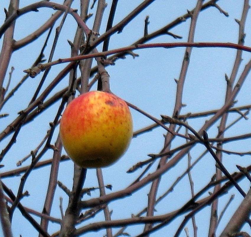 �������� ��������� 2 ����� Natali  ��������� �� PhotoGeek.ru #������ ��� ������� #����� �������������� #���������