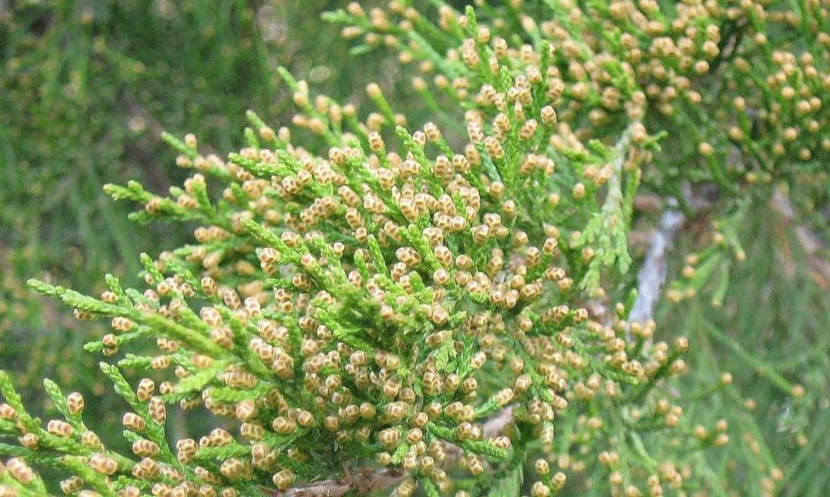 ... ����� Natali  ��������� �� PhotoGeek.ru #����� #������ ��� ������� #����� ��������������