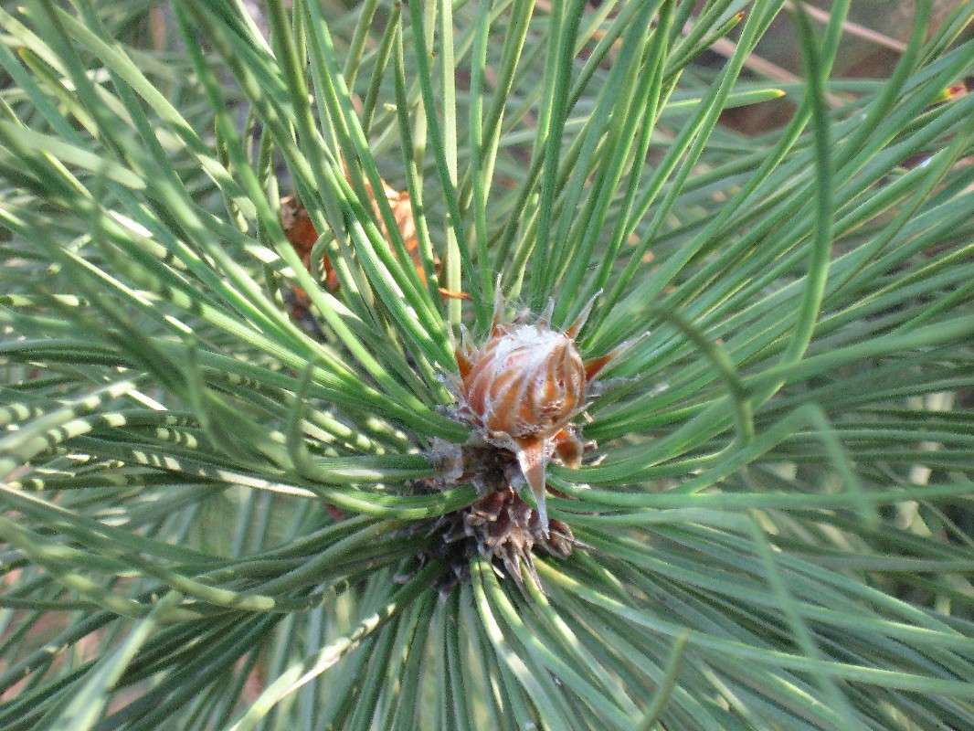 ... ����� Natali  ��������� �� PhotoGeek.ru #������ ��� ������� #����� ��������������