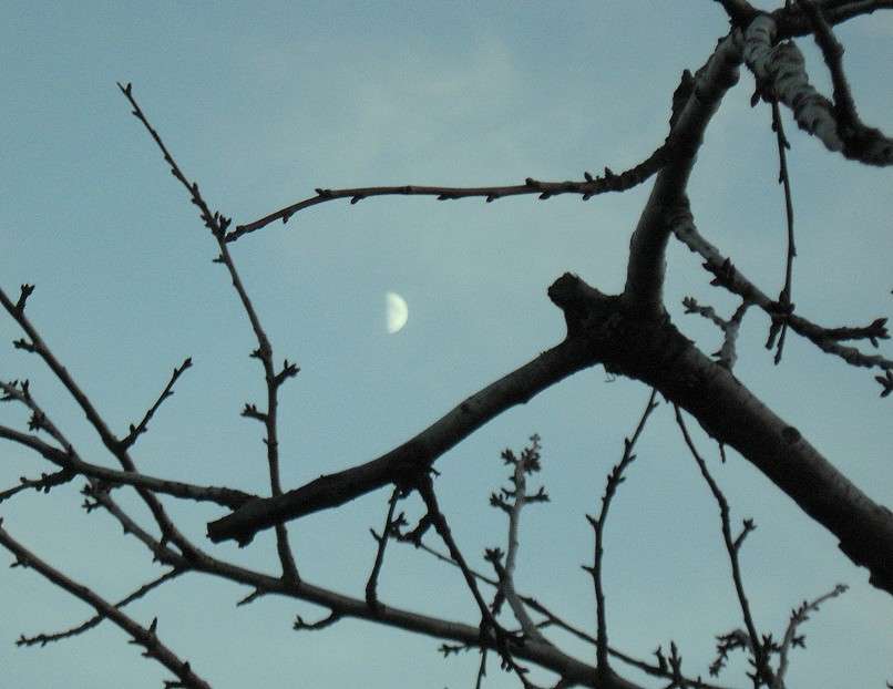 �������� ��������� 1 ����� Natali  ��������� �� PhotoGeek.ru #������ ��� ������� #���������