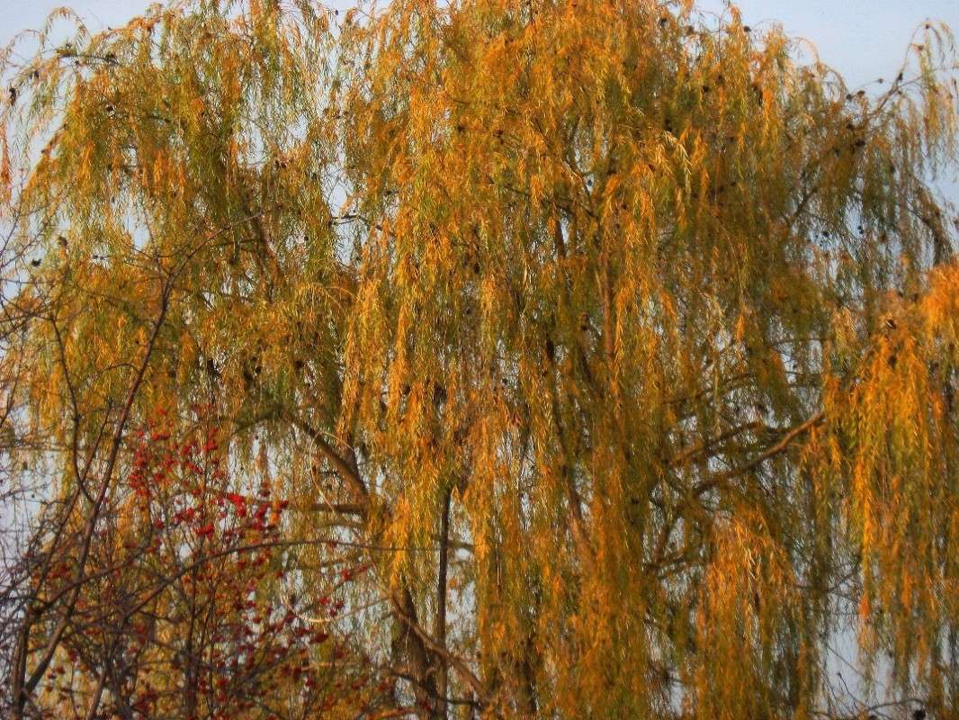 ... ����� Natali  ��������� �� PhotoGeek.ru #������ ��� �������