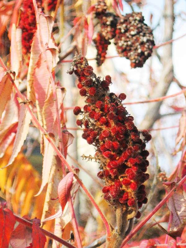 ... ����� Natali  ��������� �� PhotoGeek.ru #������ ��� ������� #����� ��������������