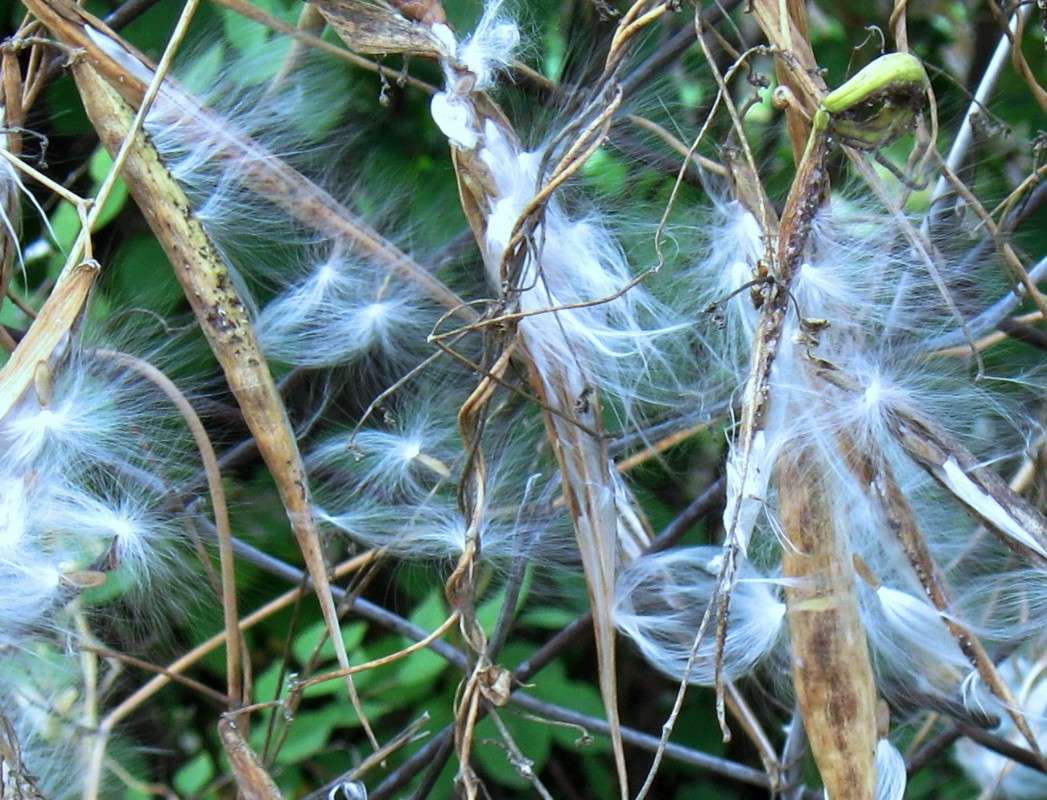 ... ����� Natali  ��������� �� PhotoGeek.ru #������ ��� ������� #����� ��������������