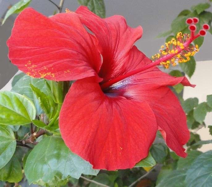 ��������� ������ - ��������� ����. ����� Natali  ��������� �� PhotoGeek.ru #������ ��� ������� #����� ��������������