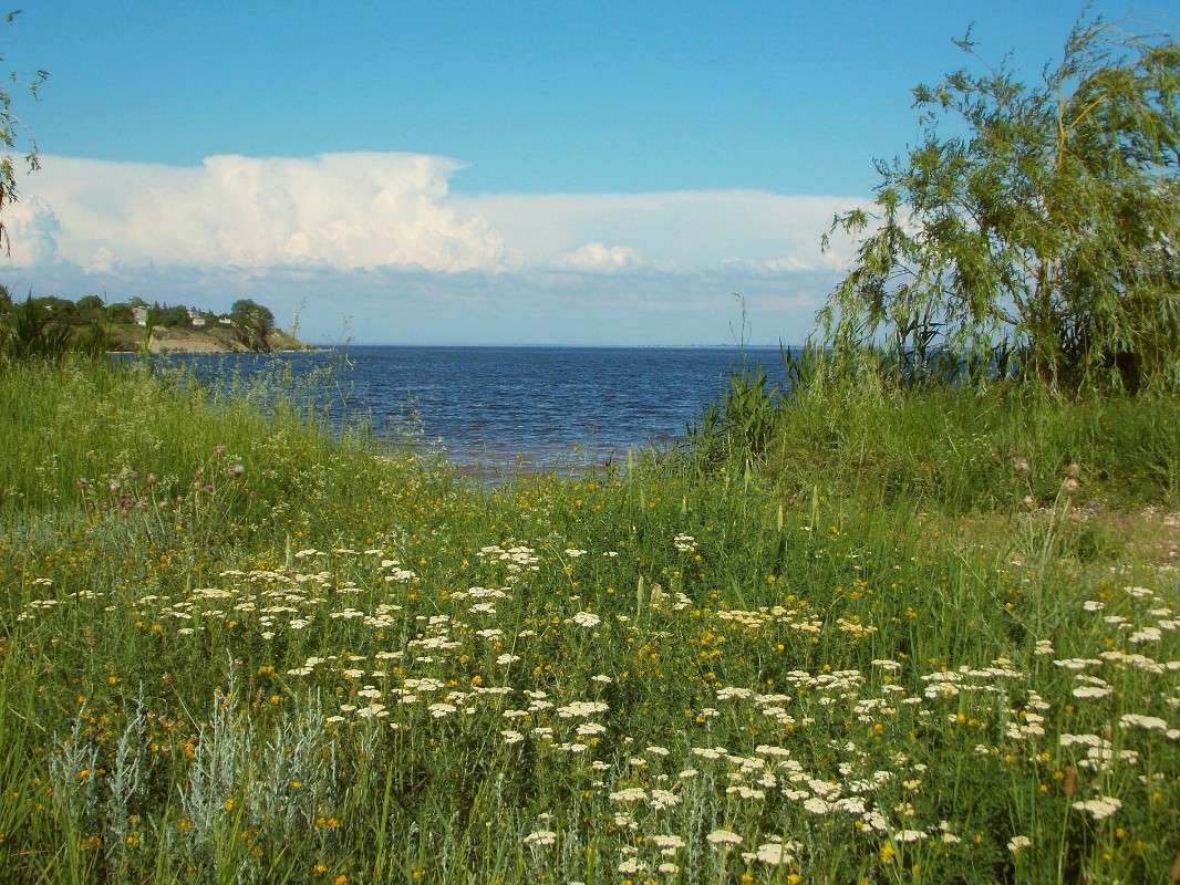 ... ����� Natali  ��������� �� PhotoGeek.ru #������ ��� �������