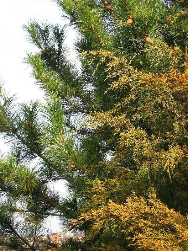 ... ����� Natali  ��������� �� PhotoGeek.ru #������ ��� ������� #����� ��������������