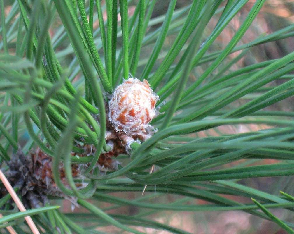 ... ����� Natali  ��������� �� PhotoGeek.ru #����� #������ ��� ������� #����� ��������������