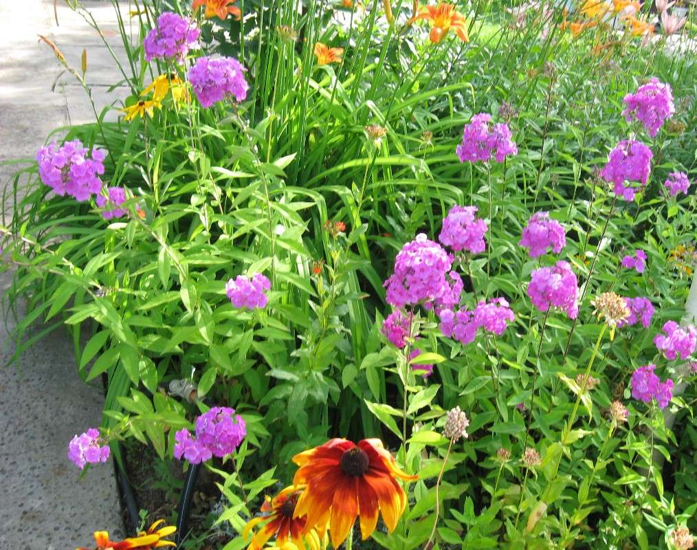 ... ����� Natali  ��������� �� PhotoGeek.ru #������ ��� ������� #����� ��������������