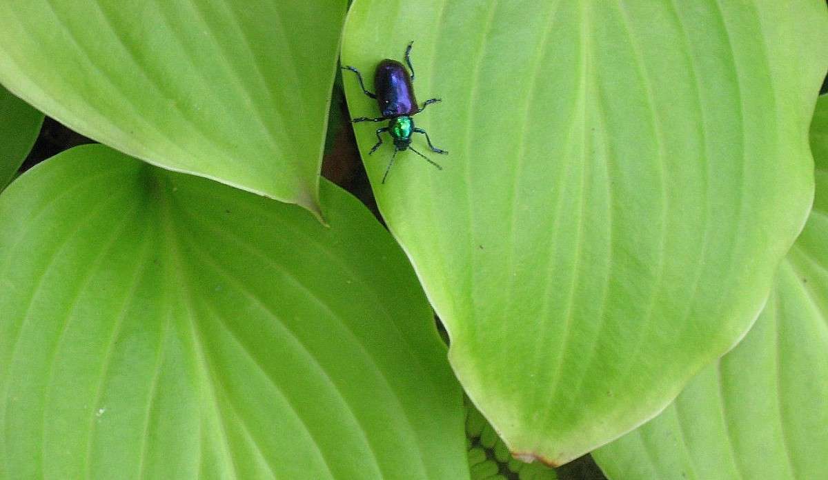 ... ����� Natali  ��������� �� PhotoGeek.ru #����� #�������� ��� #������ ��� �������