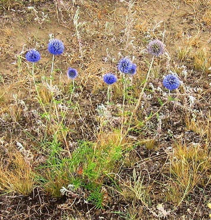 ... ����� Natali  ��������� �� PhotoGeek.ru #������ ��� ������� #���������