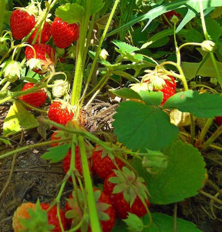 ... ����� Natali  ��������� �� PhotoGeek.ru #������ ��� ������� #����� ��������������