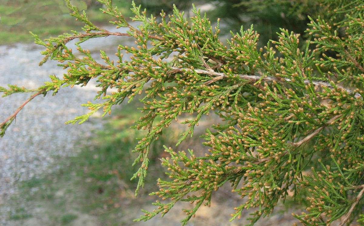 ... ����� Natali  ��������� �� PhotoGeek.ru #������ ��� ������� #����� ��������������