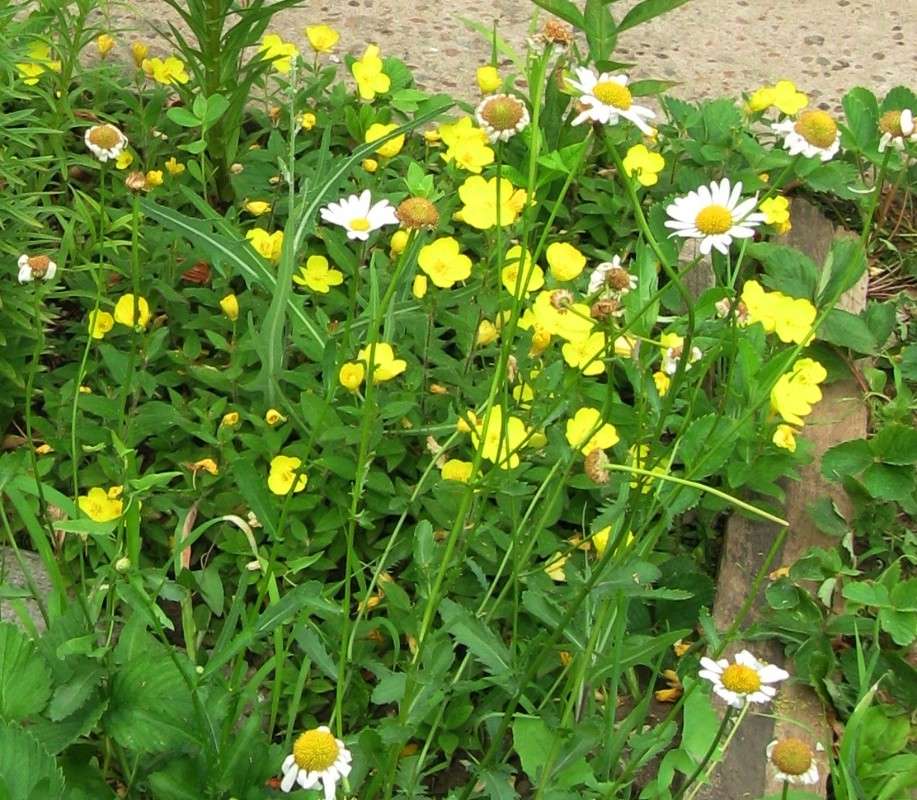 ... ����� Natali  ��������� �� PhotoGeek.ru #������ ��� ������� #����� ��������������