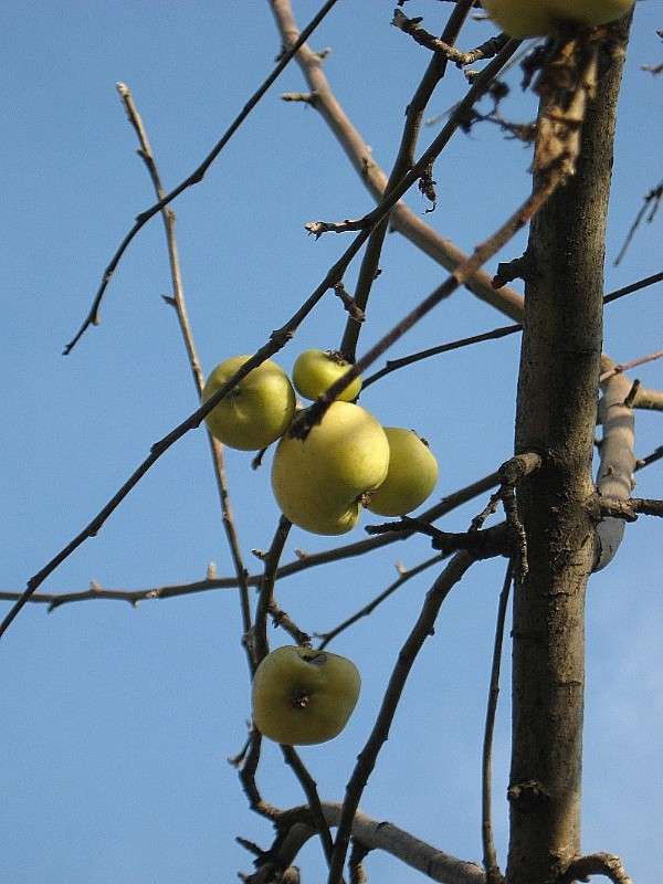 ... ����� Natali  ��������� �� PhotoGeek.ru #������ ��� ������� #����� ��������������