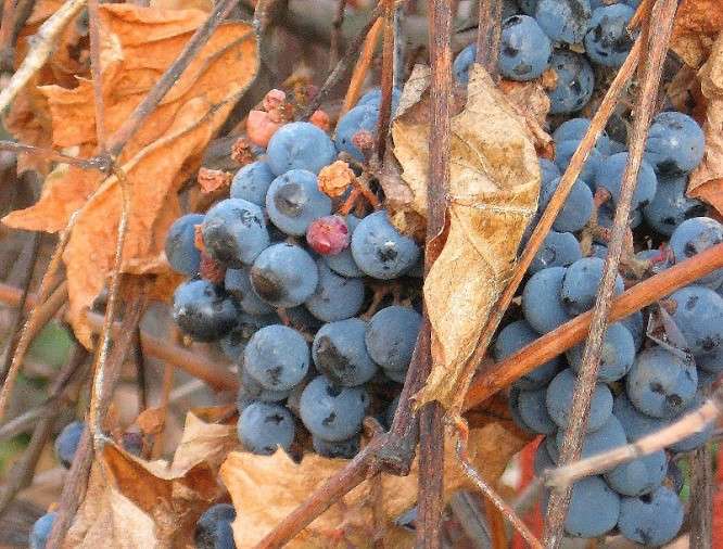 ... ����� Natali  ��������� �� PhotoGeek.ru #������ ��� ������� #����� ��������������