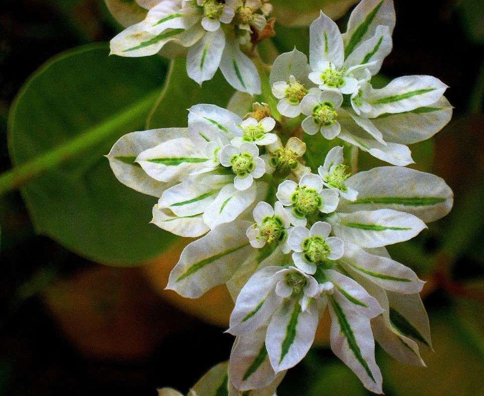 ... ����� Natali  ��������� �� PhotoGeek.ru #������ ��� ������� #����� ��������������