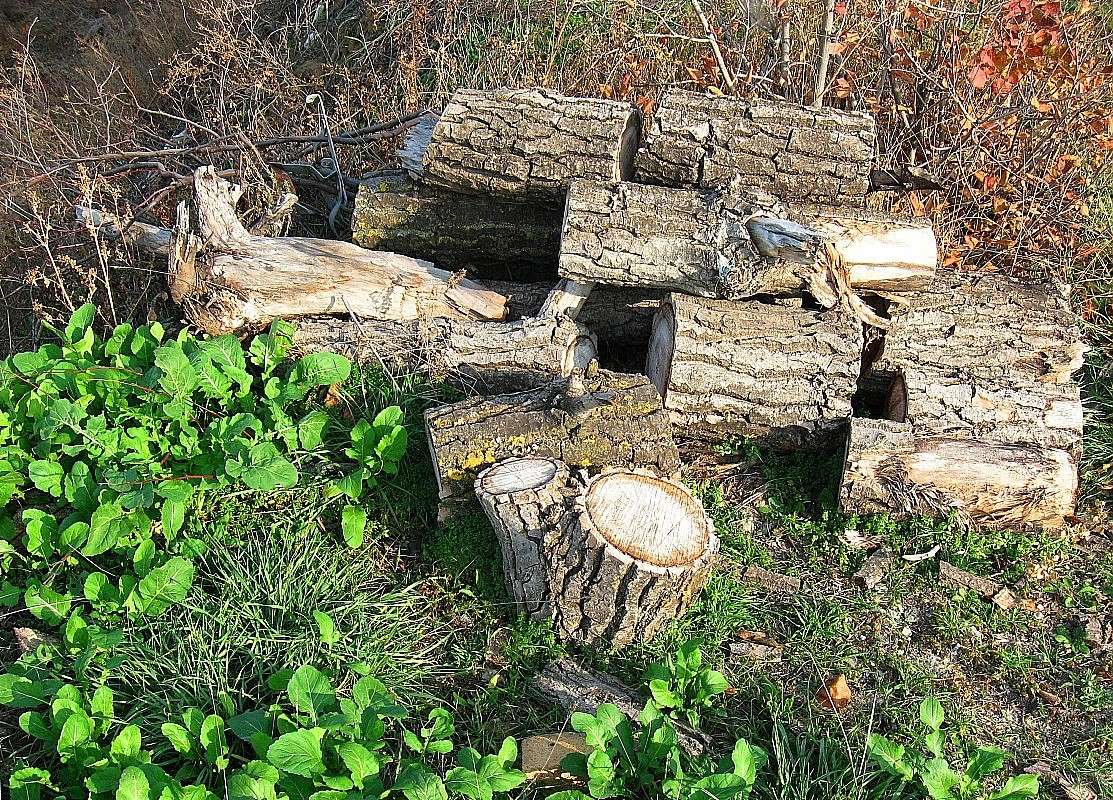 �� ������ �����. 1 ����� Natali  ��������� �� PhotoGeek.ru #������ ��� ������� #��������� #����� ��������