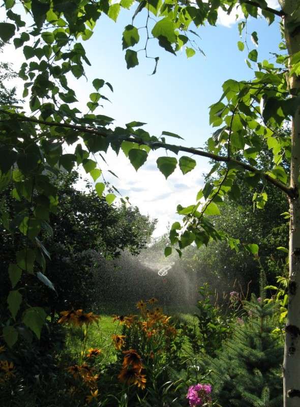 �� ������ �����. 3 ����� Natali  ��������� �� PhotoGeek.ru #������ ��� ������� #����� �������������� #��������� #����� ��������