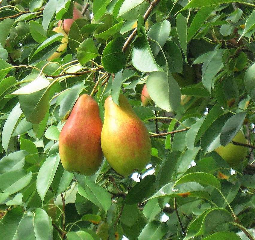 �� ������ �����. 4 ����� Natali  ��������� �� PhotoGeek.ru #������ ��� ������� #����� ��������������