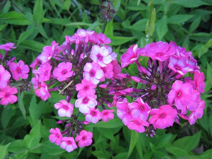 �� ������ �����. 5 ����� Natali  ��������� �� PhotoGeek.ru #������ ��� ������� #����� ��������������