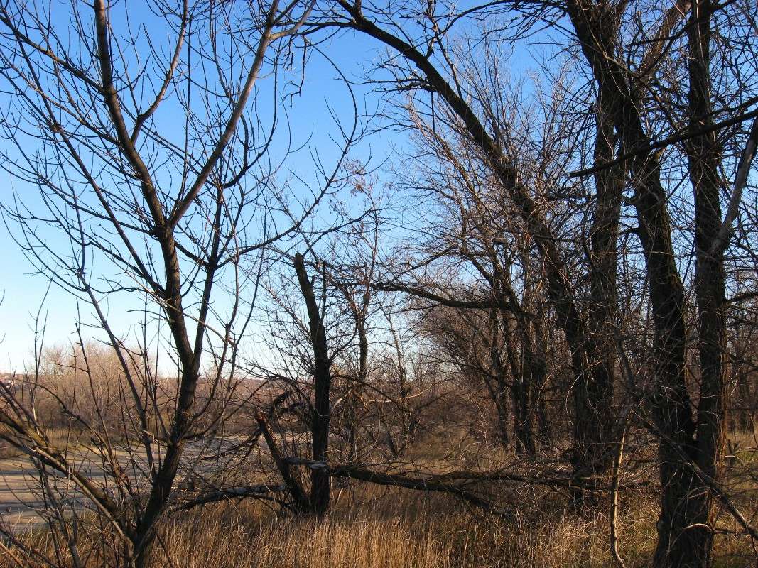 ׸���� �������. ����� Natali  ��������� �� PhotoGeek.ru #������ ��� ������� #����� ��������������