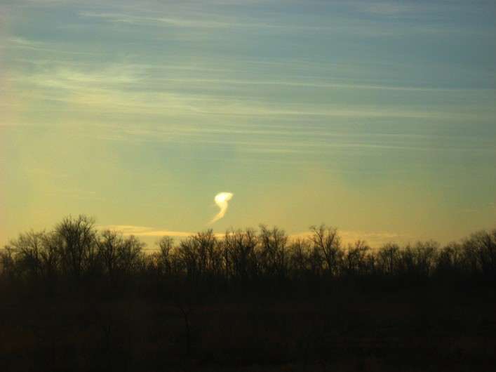 ������ �� ������. ����� Natali  ��������� �� PhotoGeek.ru #������ ��� ������� #��������� #����� ��������