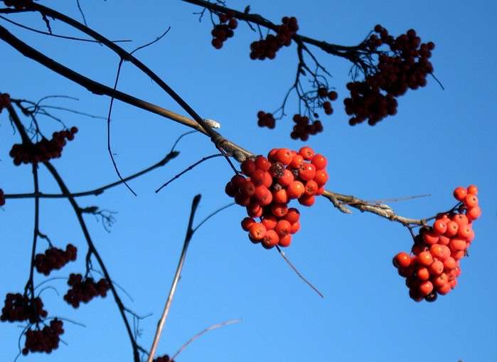 ... ����� Natali  ��������� �� PhotoGeek.ru #������ ��� ������� #����� ��������������