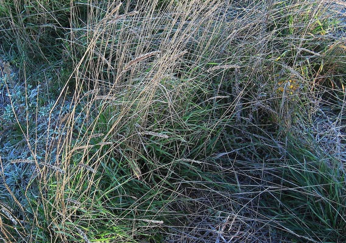 ����� �� ����... )) ����� Natali  ��������� �� PhotoGeek.ru #������ ��� ������� #����� ��������������