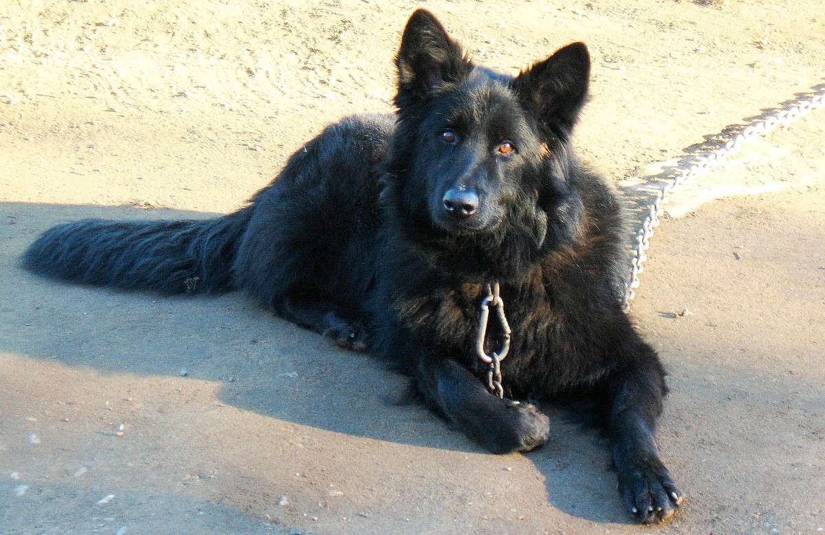 ������ ����� Natali  ��������� �� PhotoGeek.ru #�������� ��� #�������� ���