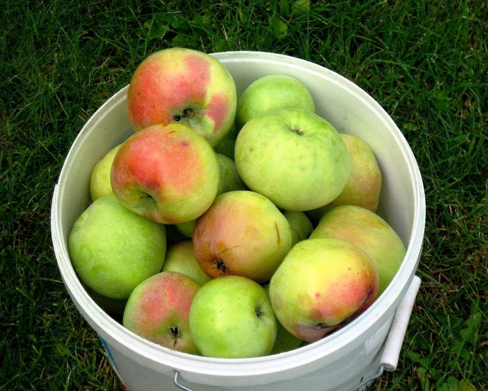 ����� �� ���� 1 ����� Natali  ��������� �� PhotoGeek.ru #�������� ���������� #��������� #����� ��������